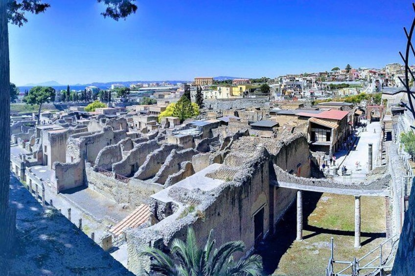 Private Tour: Day Trip Excursion to Herculaneum - Mt. Vesuvius and Pompeii