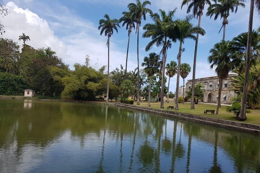 Barbados Full-day Private Tour
