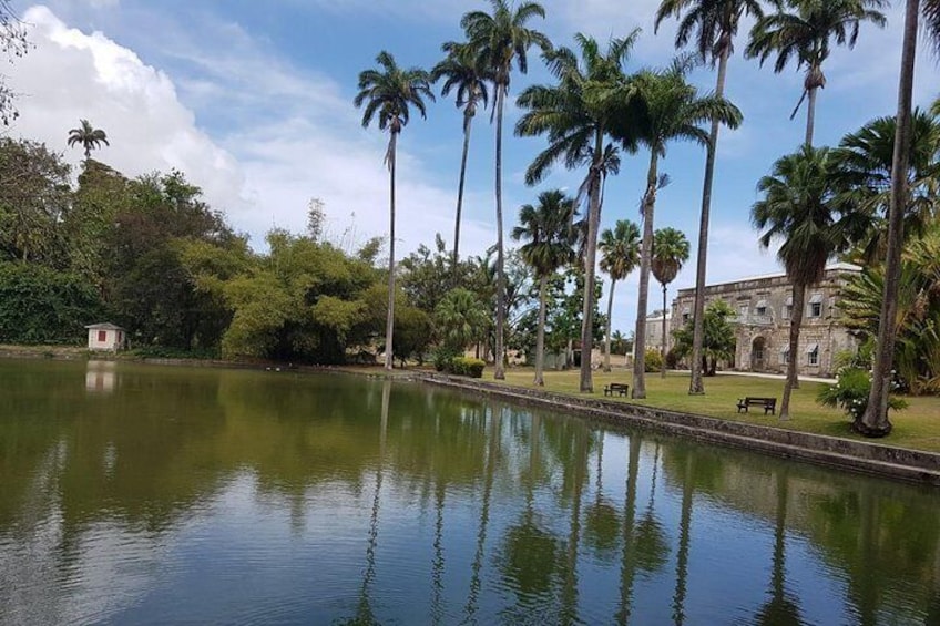 Barbados Full-day Private Tour