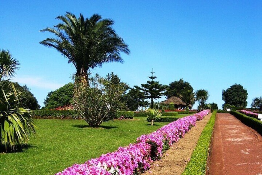 Discover the unexplored beauty of the island by jeep the Nordeste