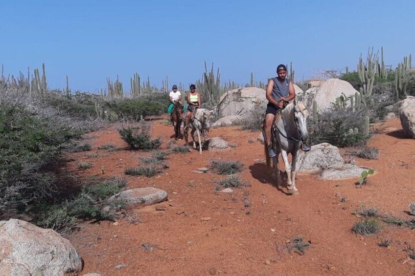 Aruba Horseback Riding Tour to Hidden Lagoon