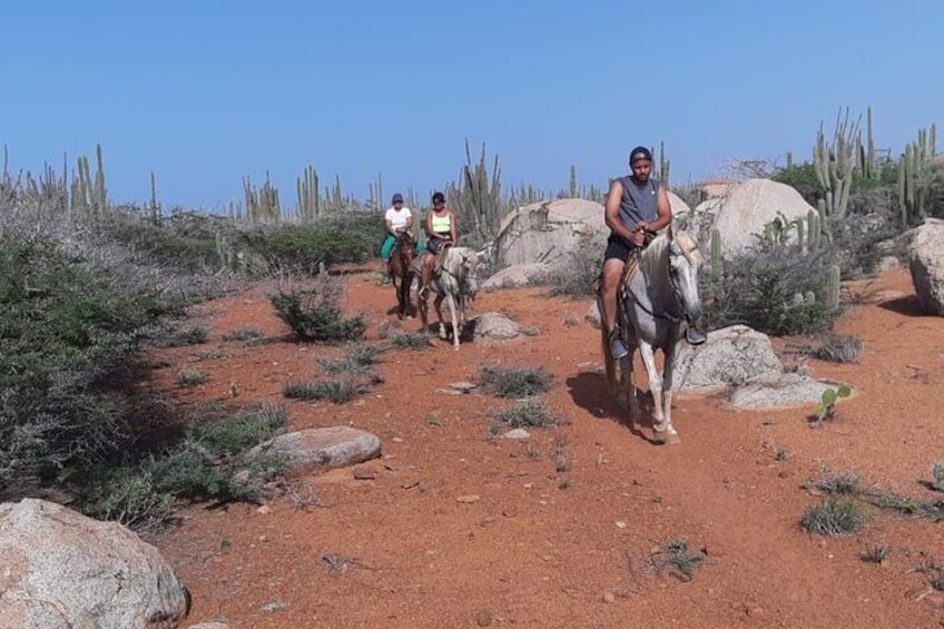 Aruba Horseback Riding Tour to Hidden Lagoon