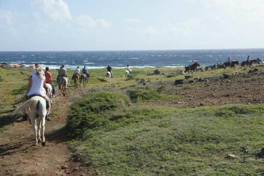 Aruba North East Coast