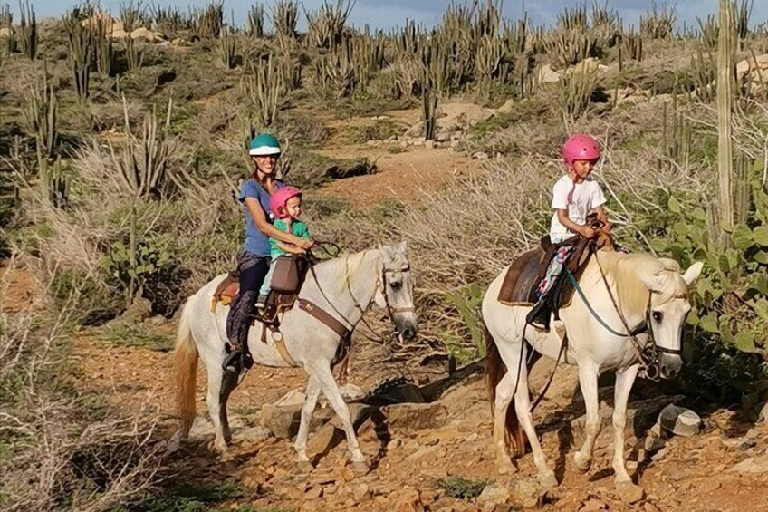 Aruba Horseback Riding Tour to Hidden Lagoon