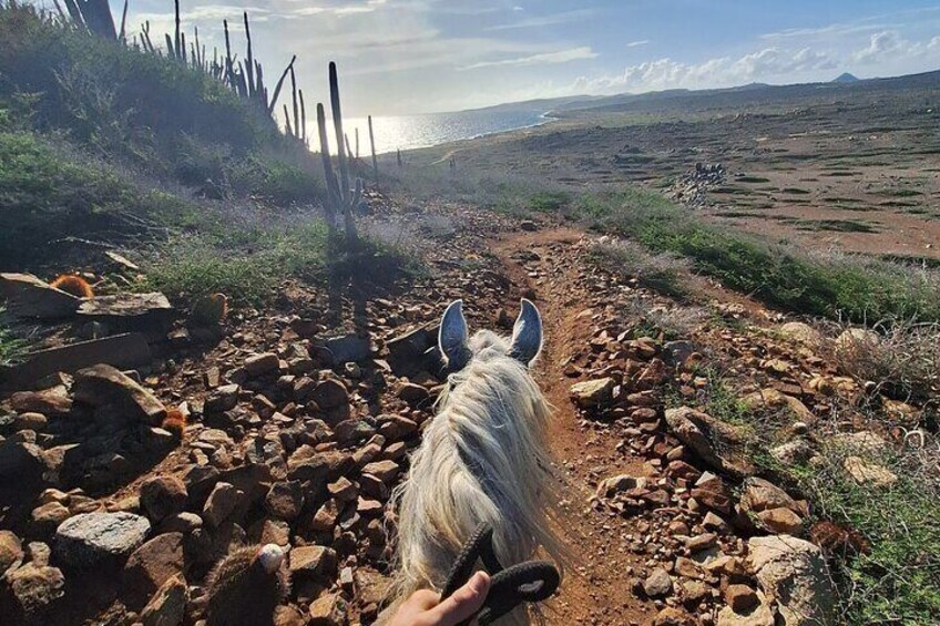 Aruba Horseback Riding Tour to Hidden Lagoon