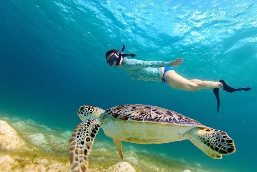 Turtle spotting snorkeling adventure- no Jets