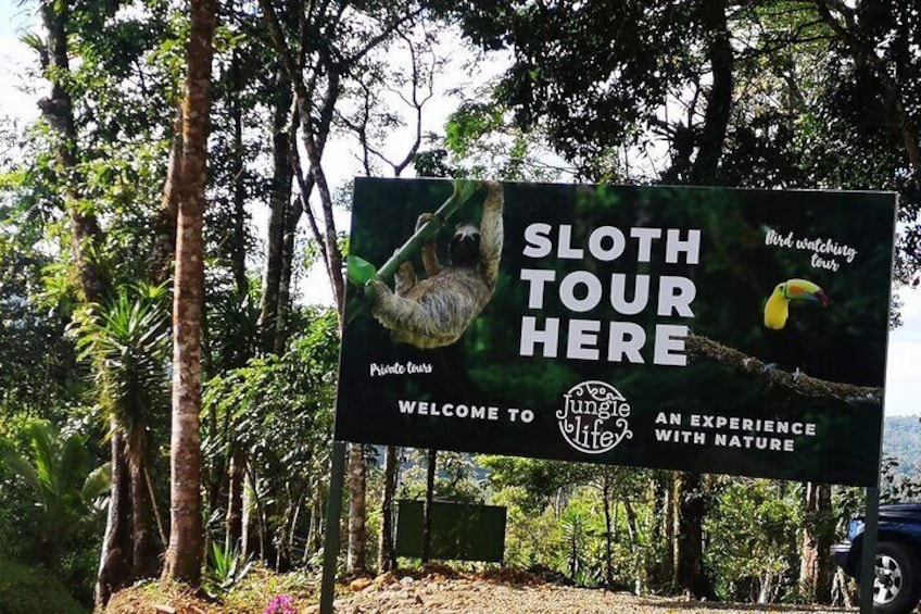 Rio Celeste Hike and Sloth Watching Tour From San Jose