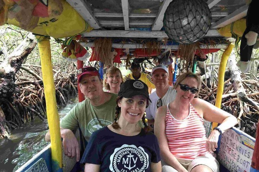 mangrove cruise