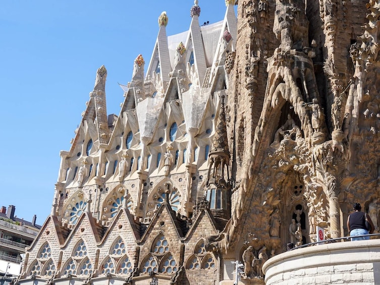 Fast Track: Sagrada Familia Guided Tour