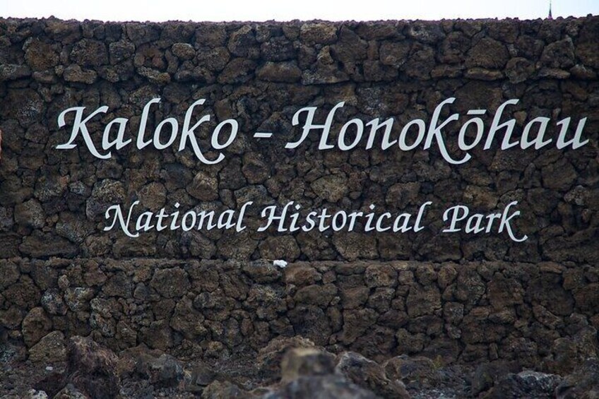 Kona Shore Excursion: Hawaiian Sea Turtles , Historic Kona & Coffee