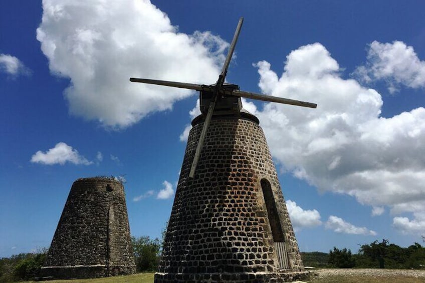 Half-Day Tour: Island Safari Adventure from St. John's