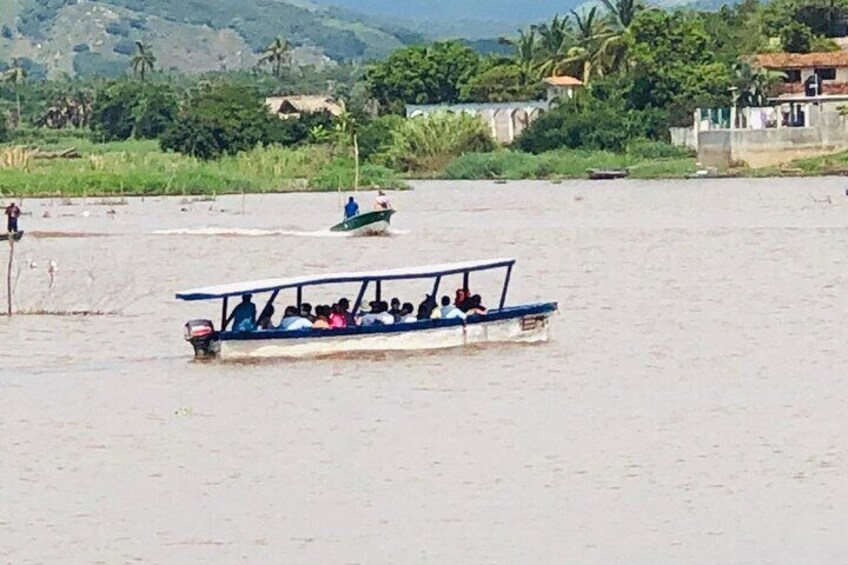 Coyuca Town Tour and Baby Turtle Release