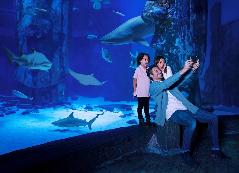 LEGOLAND® California Resort