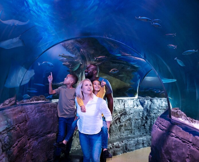 LEGOLAND® California Resort