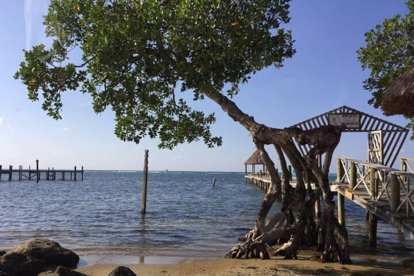 Customizable Best Of Roatan Island Tour in Honduras