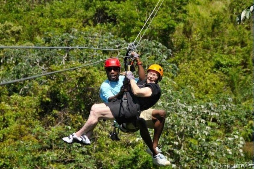 Roatan Shore Excursion: Zip 'n' Dip Canopy Tour