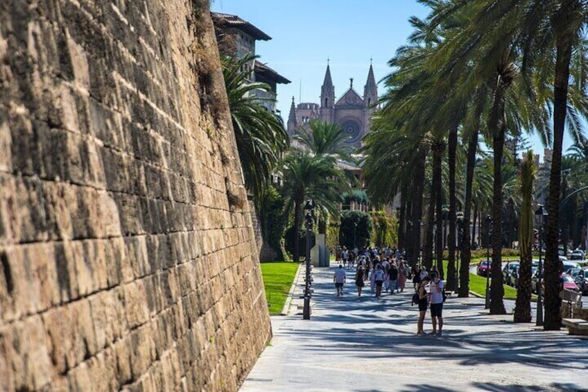 Private Shore Excursion to Valldemossa and Palma de Mallorca