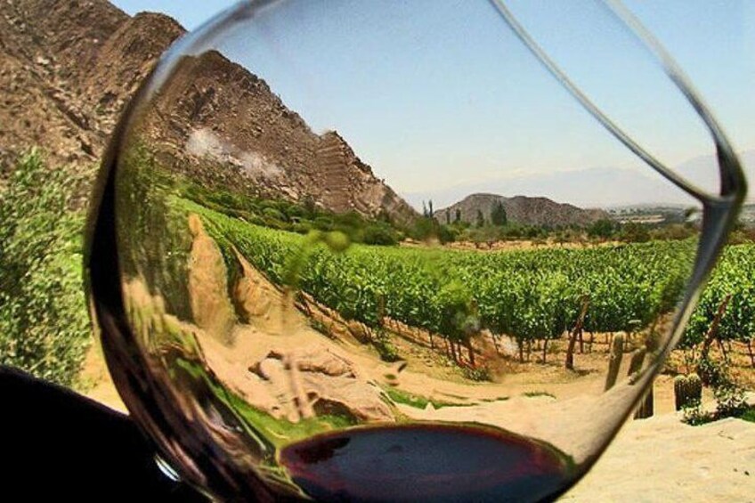 San Rafael Winery
