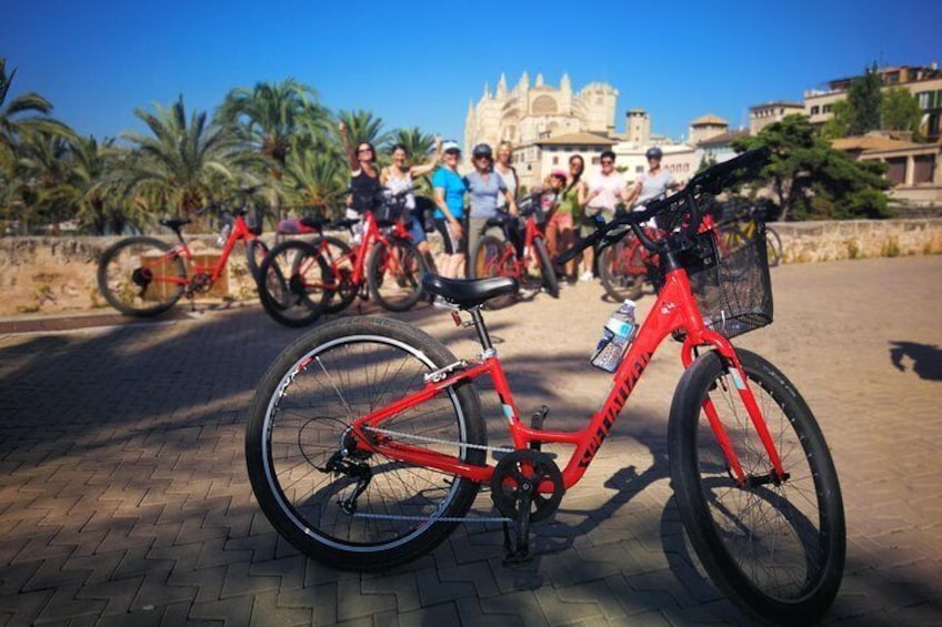 Palma Bicycle Tour