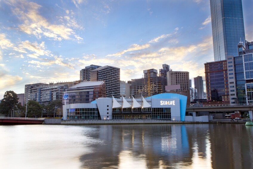 SEA LIFE Melbourne Aquarium Tickets