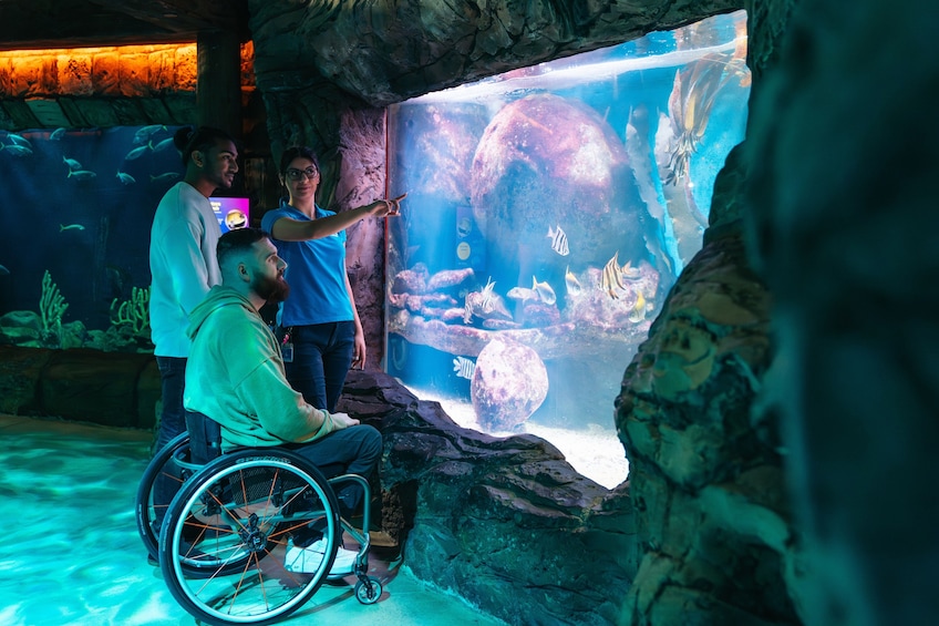 SEA LIFE Sydney Aquarium Tickets
