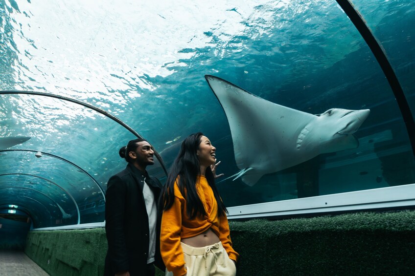SEA LIFE Sydney Aquarium Tickets