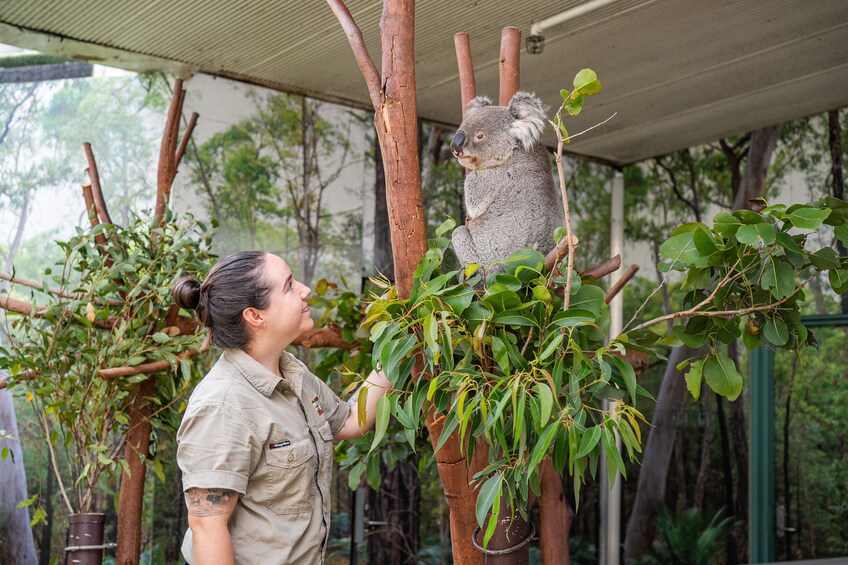 WILD LIFE Sydney Zoo