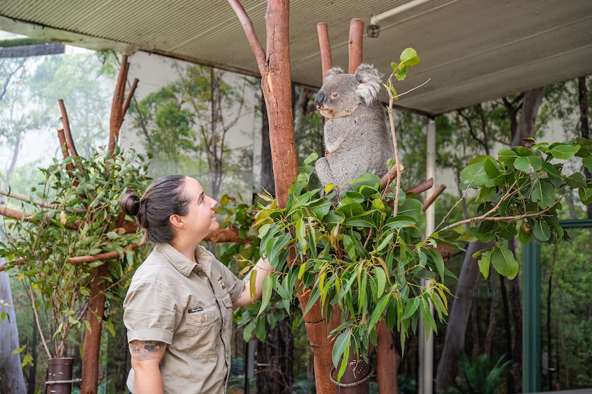 WILD LIFE Sydney Zoo