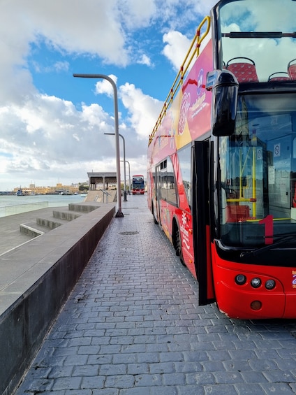City Sightseeing Las Palmas Hop-On Hop-Off Bus Tour & Optional Extras