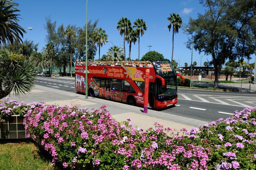 Las Palmas Hop-On Hop-Off Bus Tour