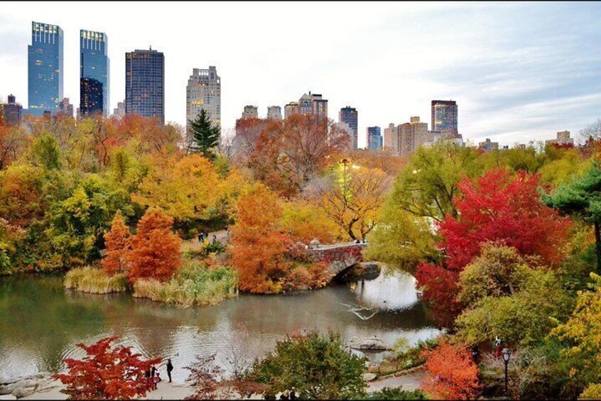 Central Park in Autumn