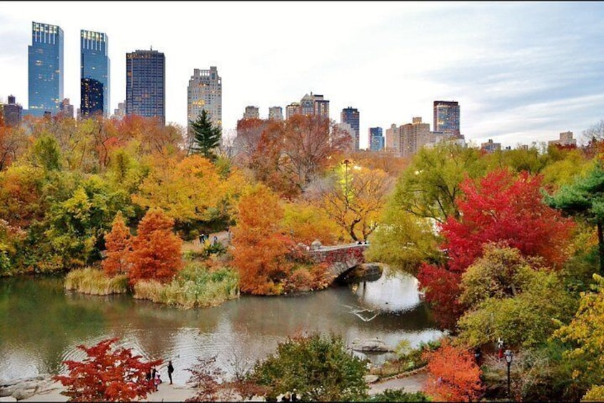 Central Park in Autumn