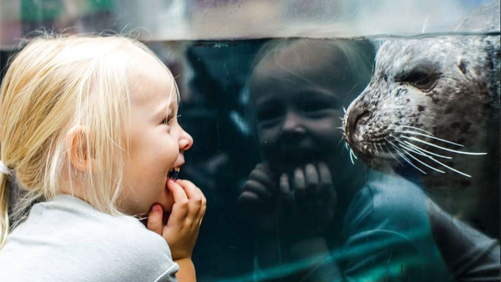Boston CityPASS: Admission to Top 4 Boston Attractions