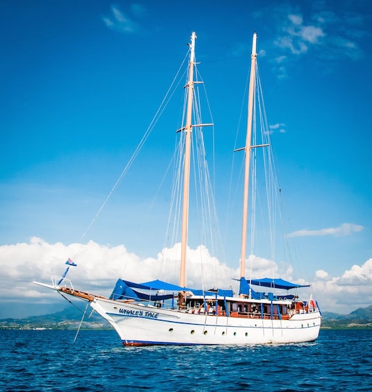 Whale's Tale All Inclusive Sail & Snorkel Adventure Cruise