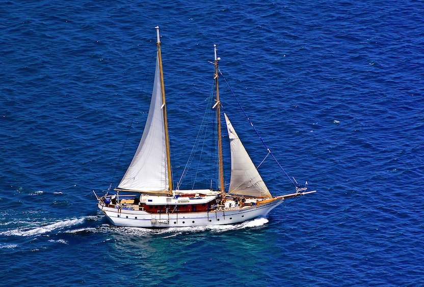 Whale's Tale All Inclusive Sail & Snorkel Adventure Cruise