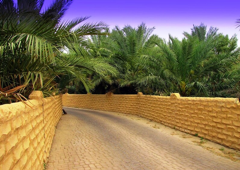 Al Ain Full Day Multilingual Tour from Abu Dhabi - Gray Line