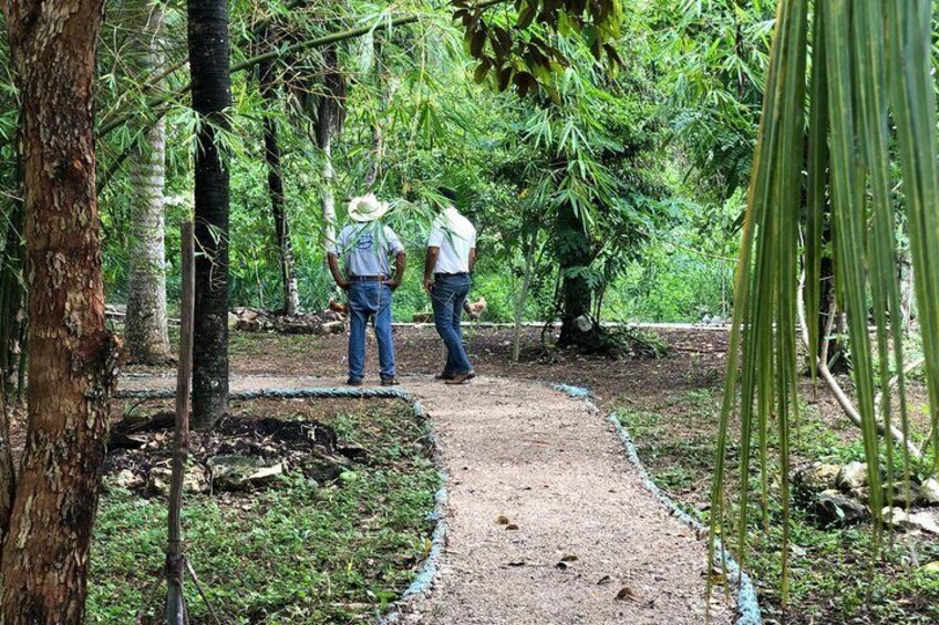 Cozumel Farm To Table Experience!!!