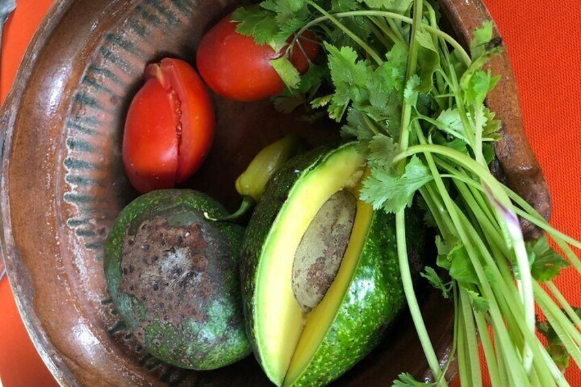 Cozumel Farm To Table Experience!!!