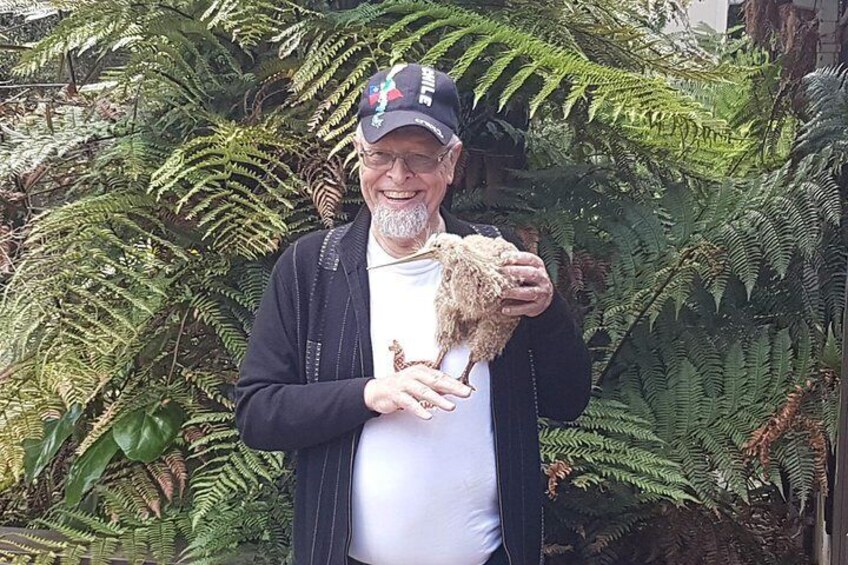Kiwi and Ferns