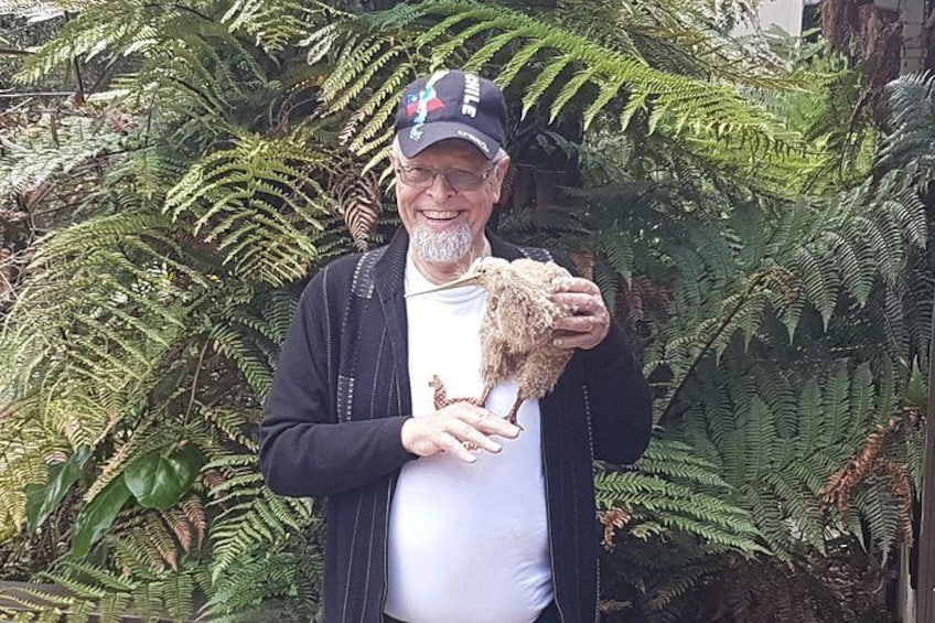 Kiwi and Ferns