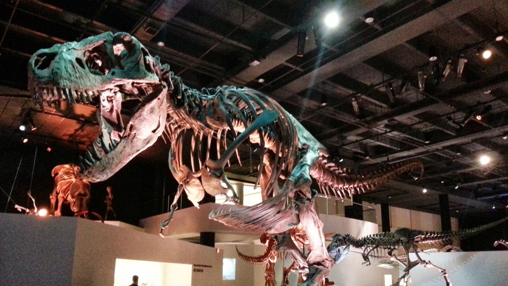 Houston CityPASS: Admission to Top 5 Houston Attractions