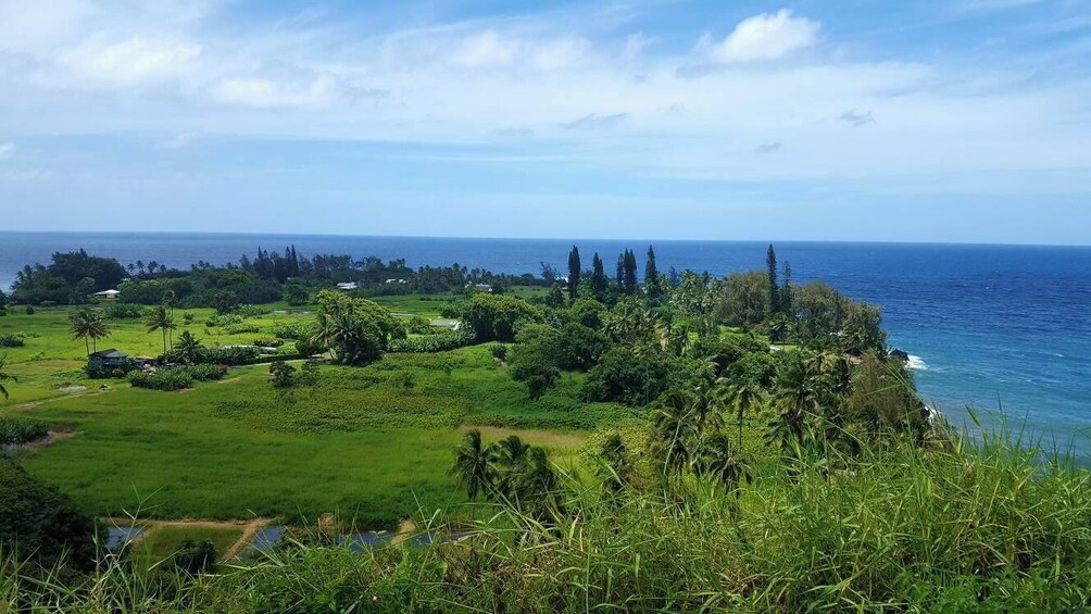 Ultimate Maui Experience - Deluxe Hana Tour - Full Day of Sightseeing  