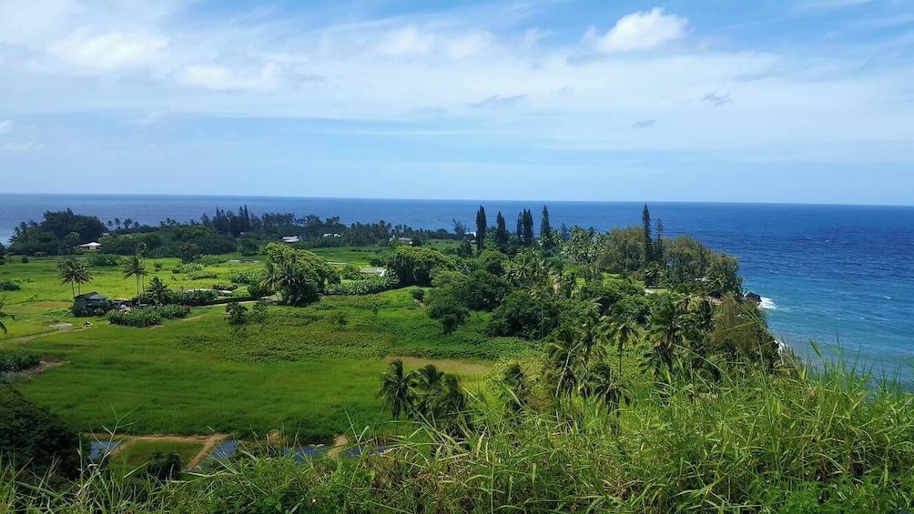 Ultimate Maui Experience - Deluxe Hana Tour - Full Day of Sightseeing