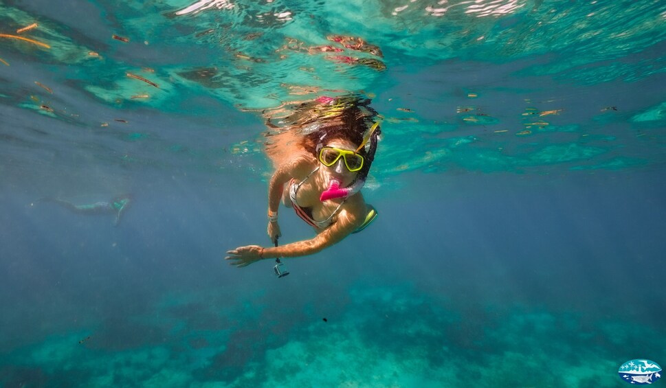 Isla Mujeres All-Inclusive Snorkeling Tour