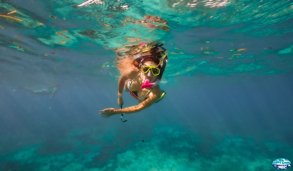 Isla Mujeres All-Inclusive Snorkeling Tour
