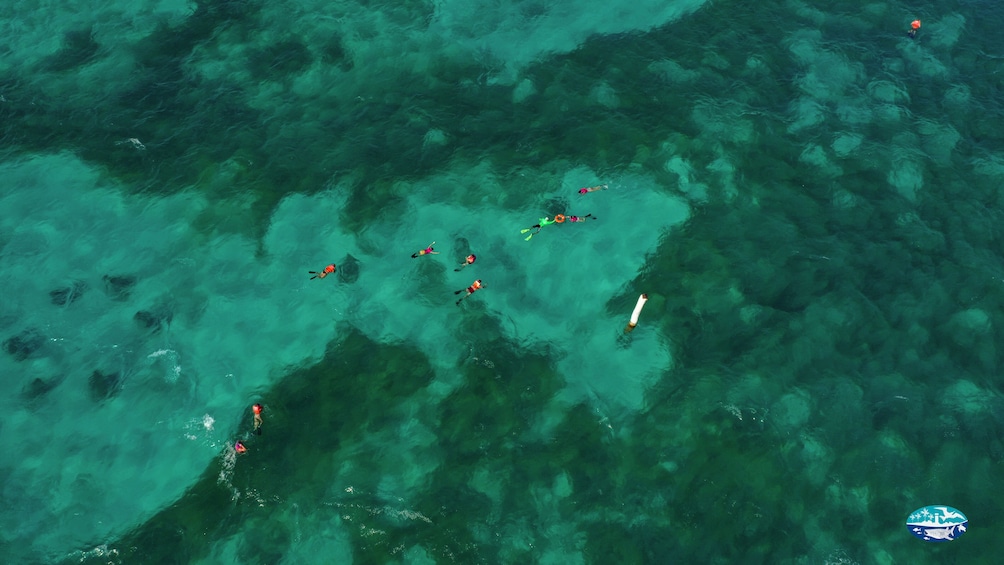 Isla Mujeres All-Inclusive Snorkeling Tour