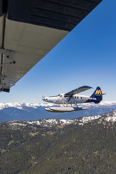 Whistler Scenic Seaplane Glacier Tour 