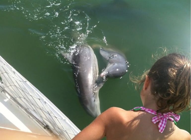 Shell Key Island Excursion 