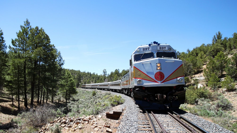 Train traveling through a forested region along the Grand Canyon Railway