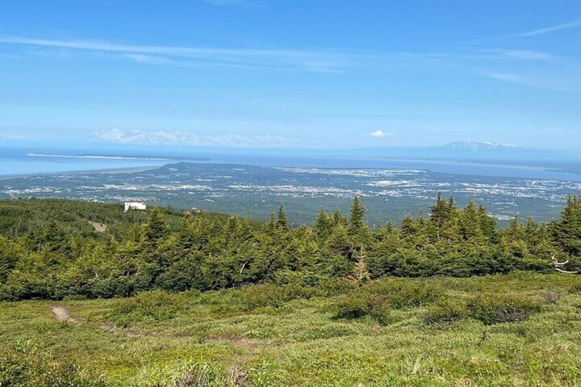 A view from the trail.